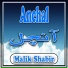Malik Shabir