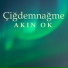 Akın Ok