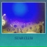 Star Club