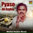 Ghulam Hussain Merasi