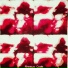 Rhesus Code