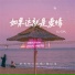 队长的小斑鸠, 夏以岛