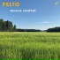 Pelto