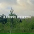 Лицо системы