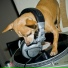 DJ Mick Singh