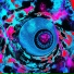 FXR LXVE