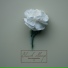 Black Sleep