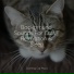 Pet Care Club, Cat Music Dreams, RelaxMyCat