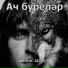 Филюс Беркет