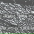 Akatuki