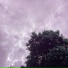 Jagu