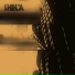 Shela