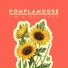 Pomplamoose