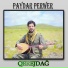 Paydar Perwer