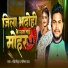 Ravi Singh, Garima Raj