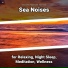 Ocean Currents, Nature Sounds, Ocean Sounds