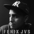 Fenix Jvs