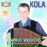 Darko Vujičić