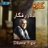 Dilawar Figar