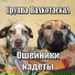 Группа Палкотаскал