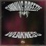 Pink Shine Records, SHINING BREEZZE