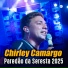 Chirley Camargo