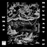 Wraz. feat. Motus