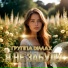 Группа DiMax