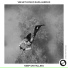 Velvet 8 feat. Rafa Leroux