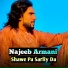 Najeeb Armani