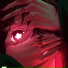 EXORT
