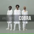 Angoboyz