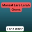 Farid Wazir