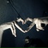 vluvend