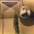 Melvin Pot