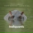 David Aubaile feat. Karim Ziad, Chris Jennings