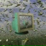 WIRED NETWORK
