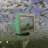 WIRED NETWORK