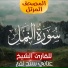 الشيخ - عنانى سند نافع