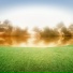 The Space Star