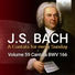 Netherlands Bach Collegium