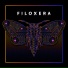 Filoxera