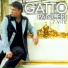 Gatto Panceri