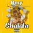 BMY
