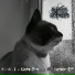 Kirill-T