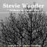 Stevie Wonder
