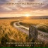 Instrumental Resonance