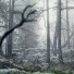 Friland