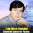 Zain Ullah Khushal