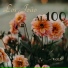 Los Joao